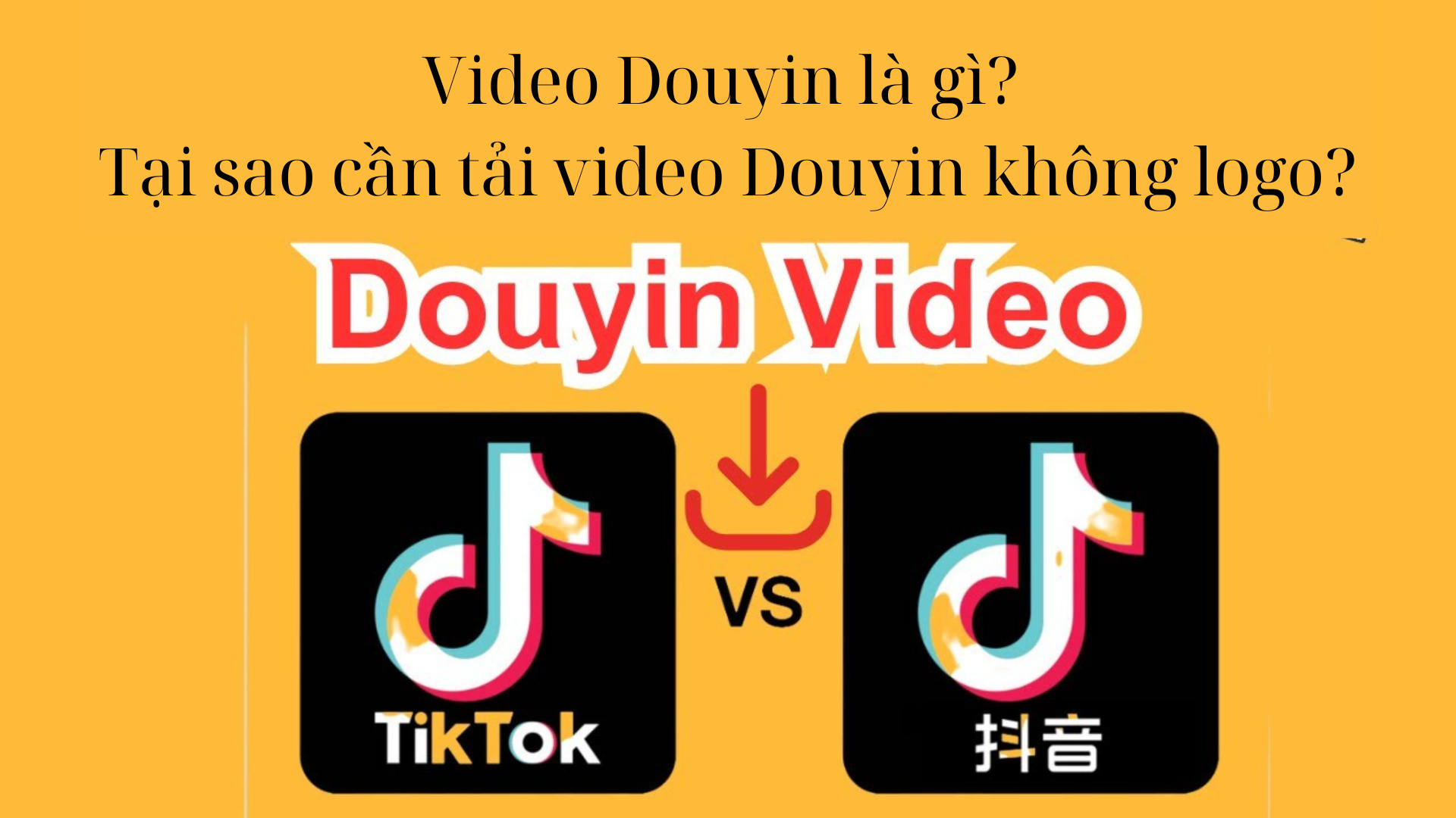 Video Douyin là gì? Tại sao chúng ta cần tải video Douyin không logo?